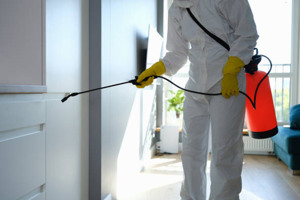 Trusted Port Charlotte, FL Mold Remediation Experts